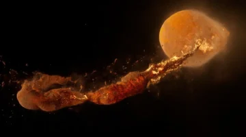 أصل كوكب “ثيا” الذي شكّل القمر: دراسة جديدة توضّح تفاصيل الاصطدام الأرضي قبل 4.5 مليار سنة